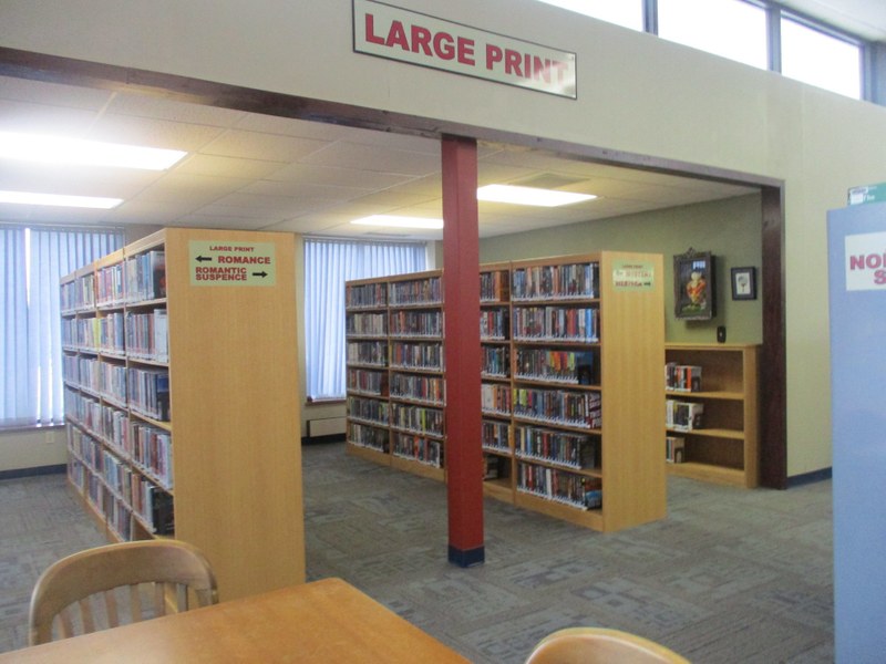 Bookcases housing books with large font